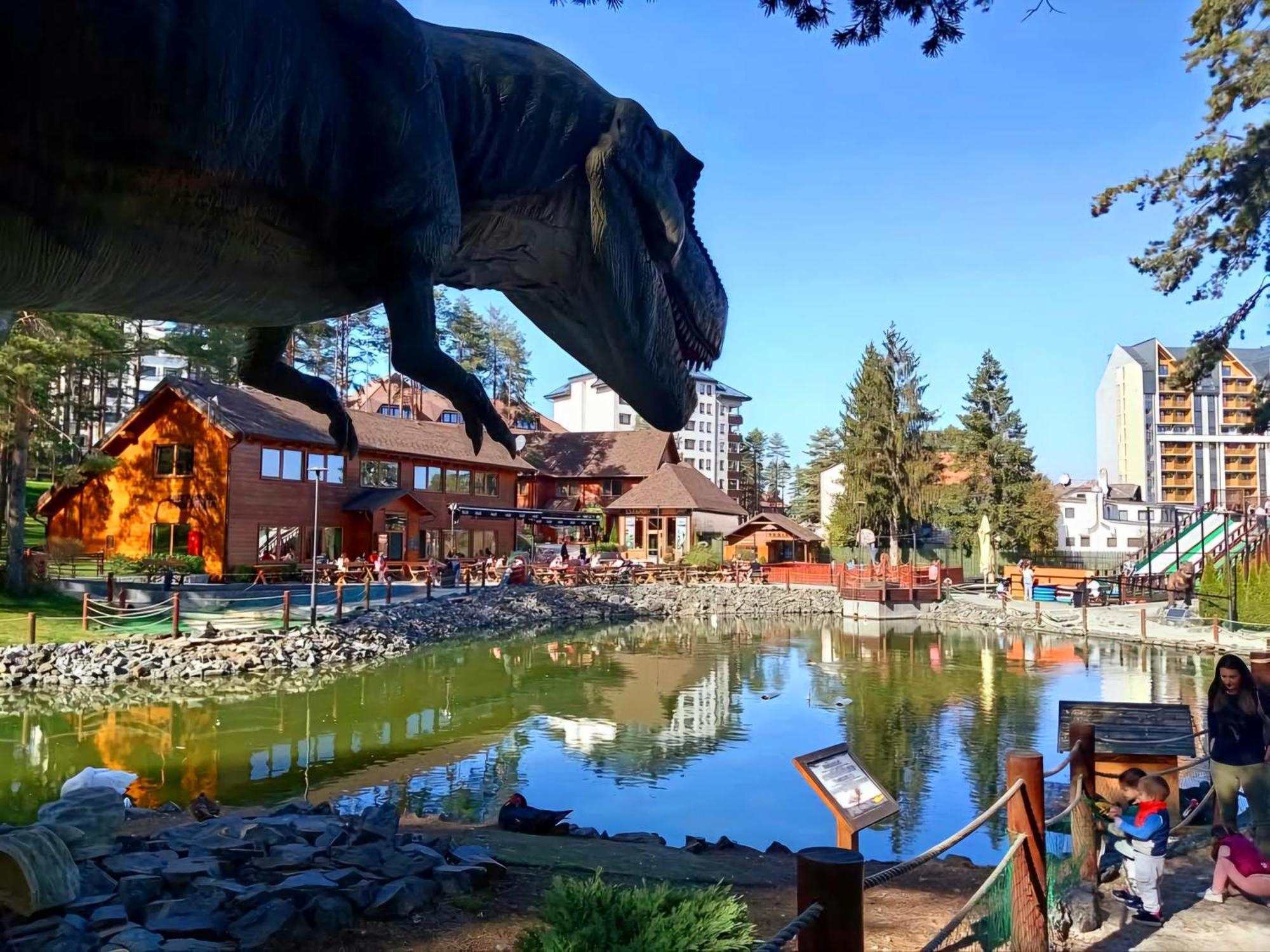 Silver Star Zlatibor Luaran gambar
