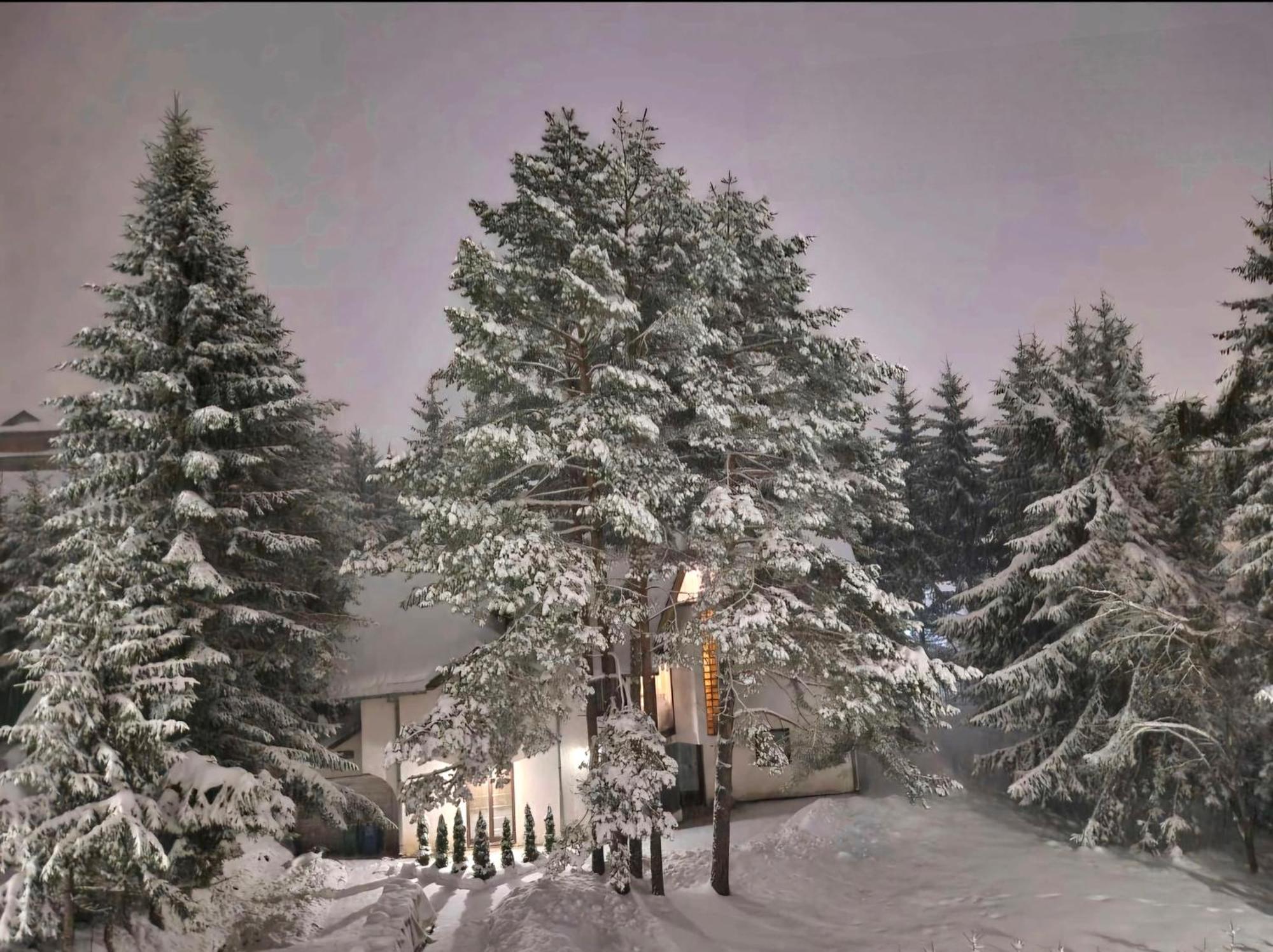 Silver Star Zlatibor Luaran gambar